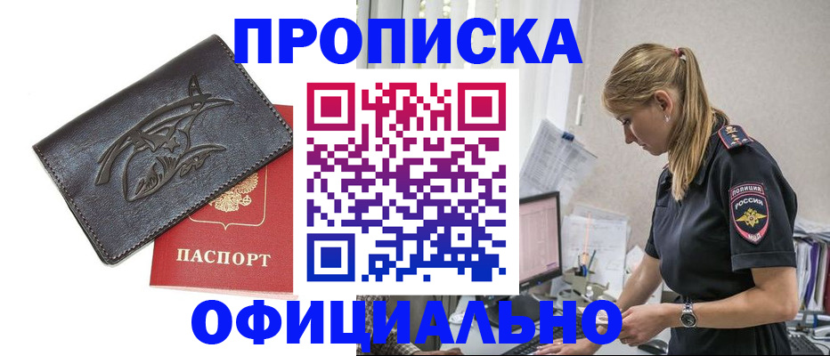 где прописаться в Димитровграде